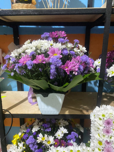 Toko Bunga Terbesar King Florist sampit – Pilihan Utama Florist Profesional di Kalimantan Teng